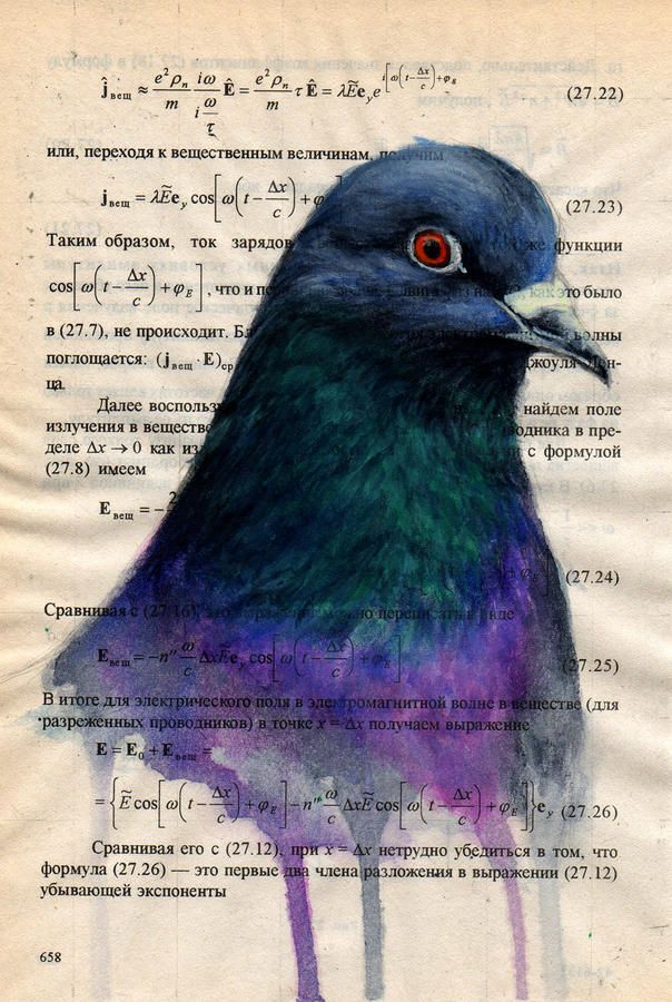 604x900 Urban Pigeon Canvas Print Canvas Art By Suvi Kukka Tuominen - Pigeon Painting