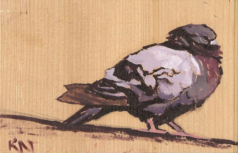 800x515 About Kat Houseman - Pigeon Painting