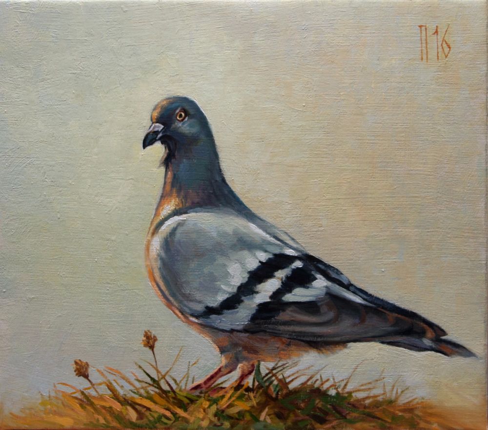 1000x880 Amazing Dove Oil Painting - Pigeon Painting