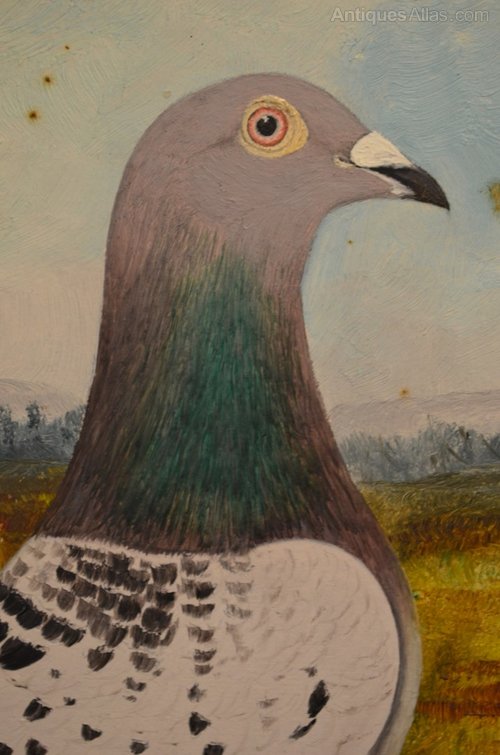 500x755 Antiques Atlas - Pigeon Painting