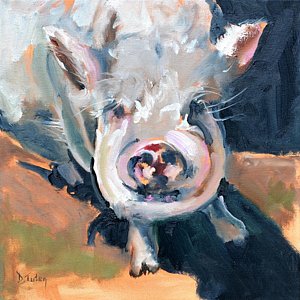 300x300 Pot Belly Pig Paintings Fine Art America - Piggy Painting