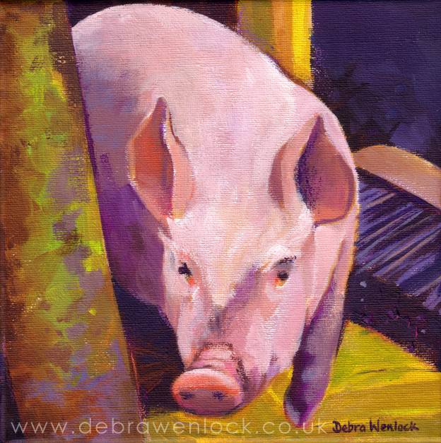 624x627 Debra Wenlock Art - Piggy Painting
