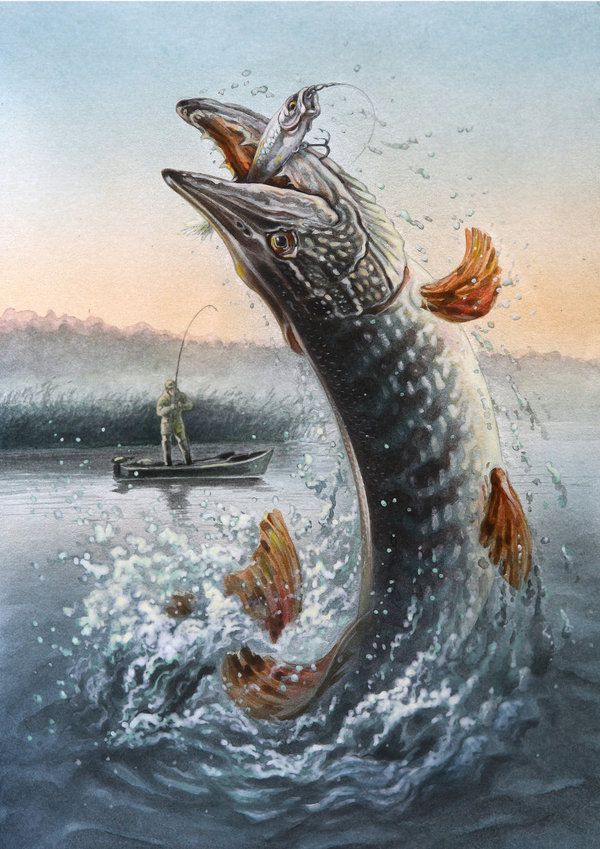 600x849 Paintings Of Pike - Pike Painting