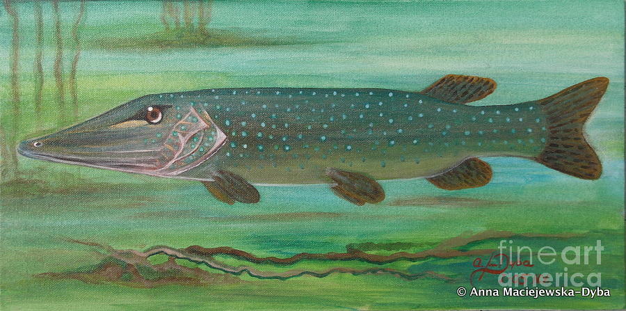 900x447 Pike Painting By Anna Folkartanna Maciejewska Dyba - Pike Painting