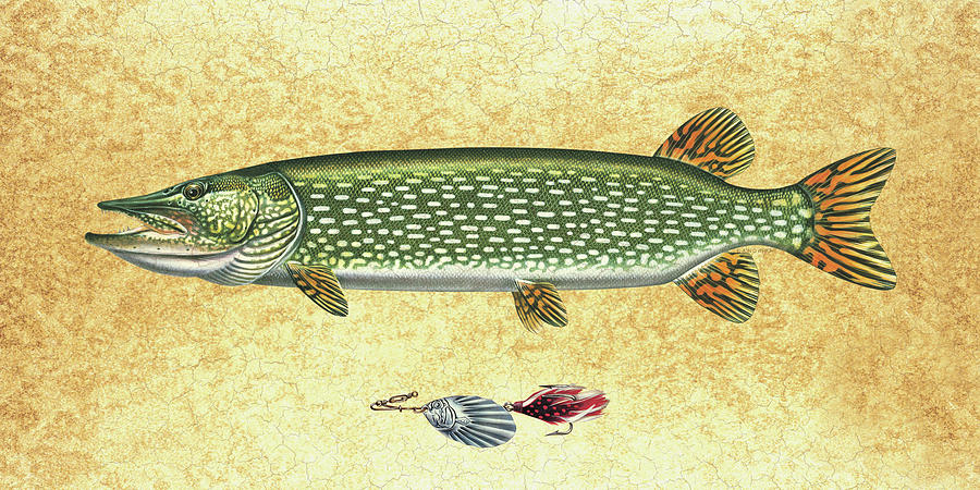 900x450 Pike Paintings Fine Art America - Pike Painting