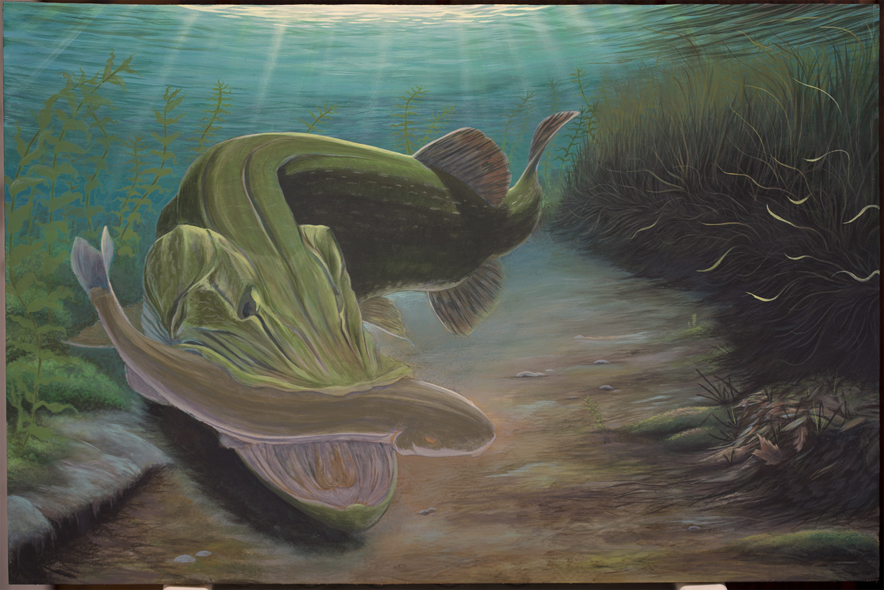 1800x1203 Snatch - Pike Painting