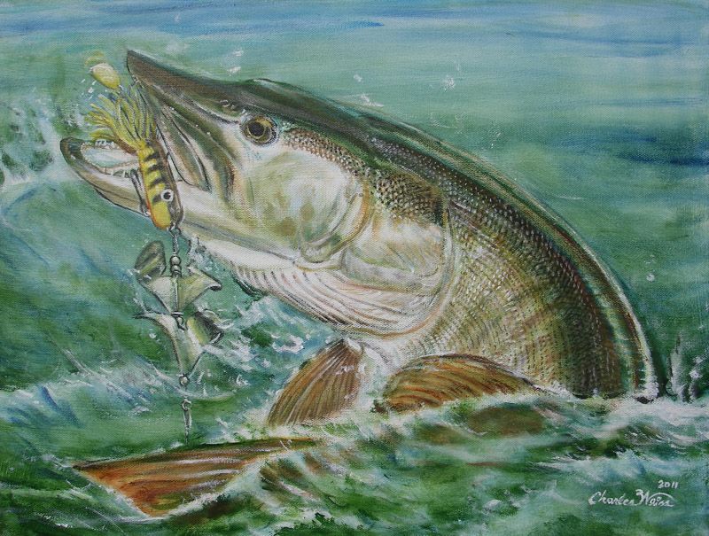 Pike Painting at PaintingValley.com | Explore collection of Pike Painting