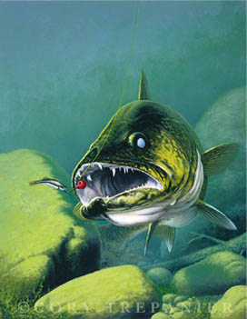 272x351 Caught On Canvas Walleye Painting - Pike Painting