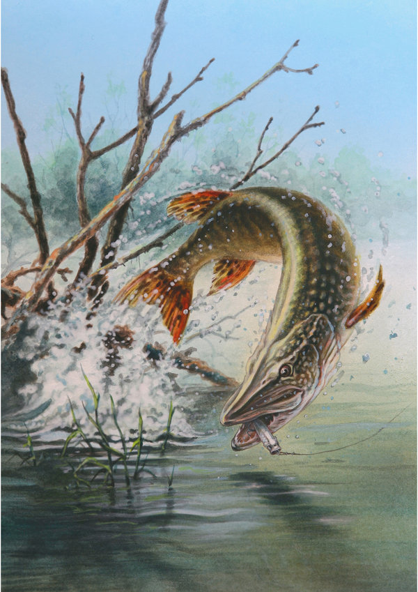 600x849 Jumping Pike By Stefan69 - Pike Painting