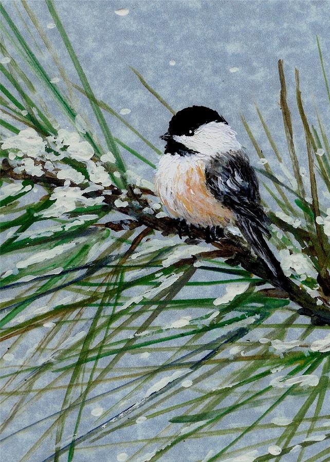 642x900 Snow Pine Chickadee Detail Print Bird 2 Painting By Kathleen Mcdermott - Pine Branch Painting