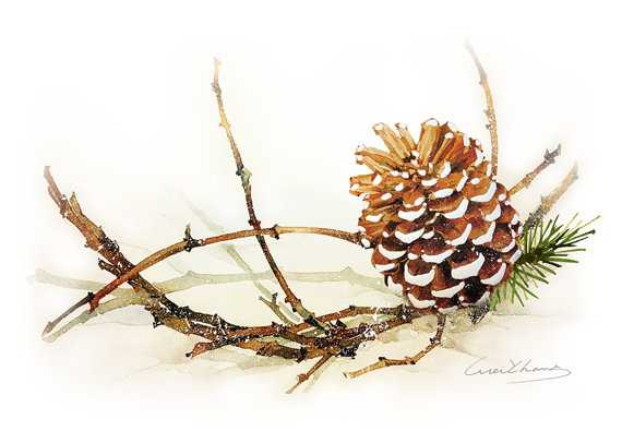 Pine Branch Painting at PaintingValley.com | Explore collection of Pine ...