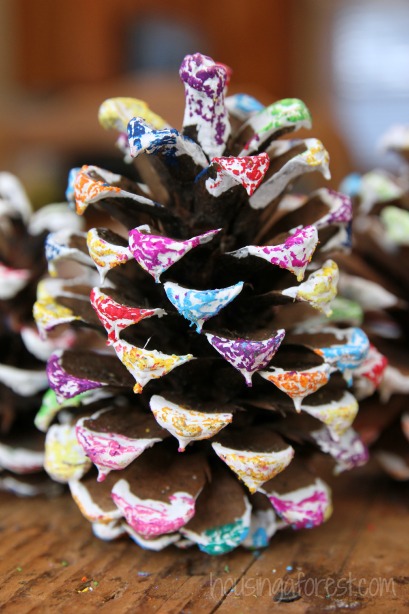 409x614 Colored Pine Cones Housing A Forest - Pine Cone Painting