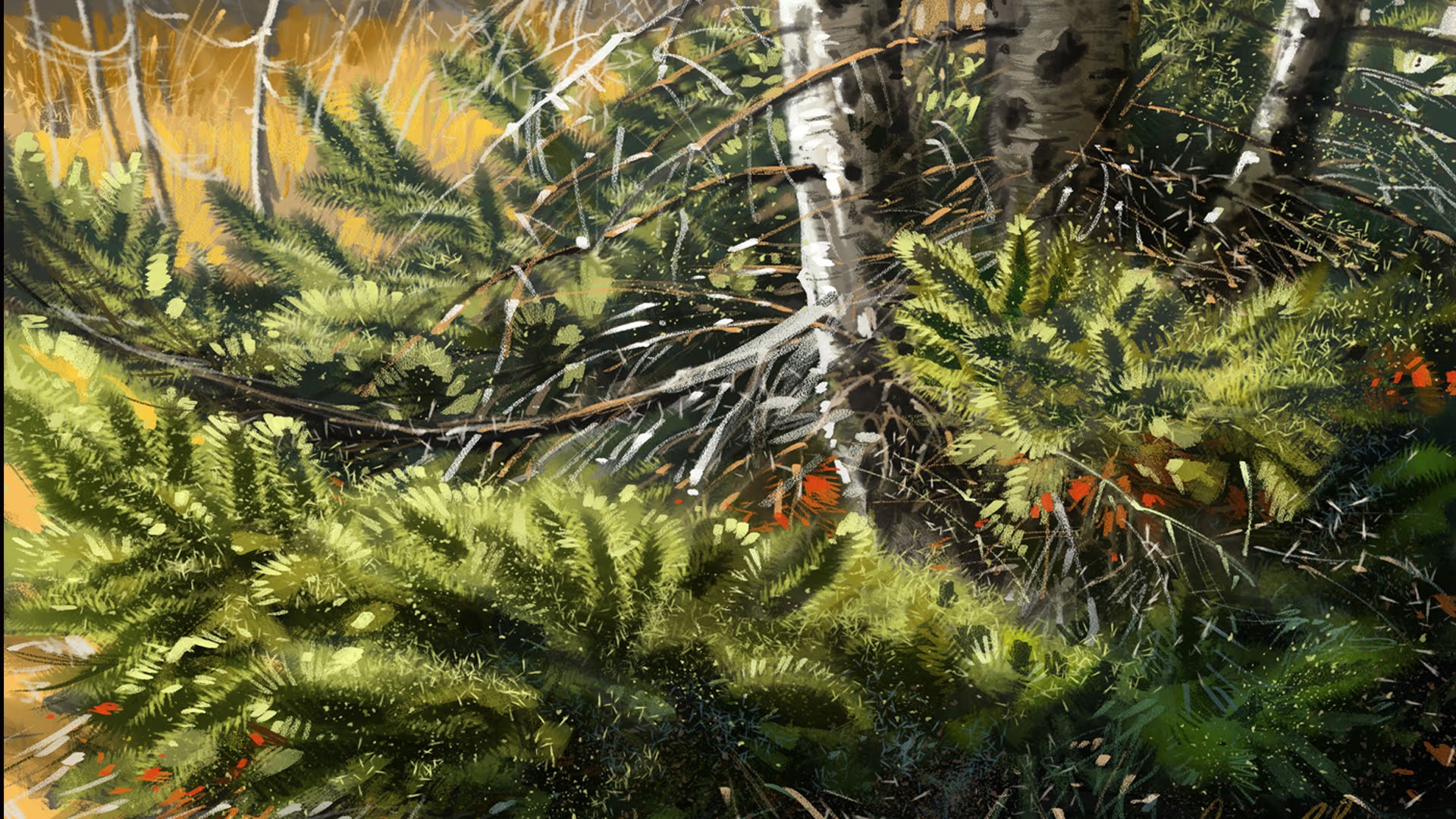 1920x1080 Photoshop Painting Time Lapse Pine Forest - Pine Forest Painting