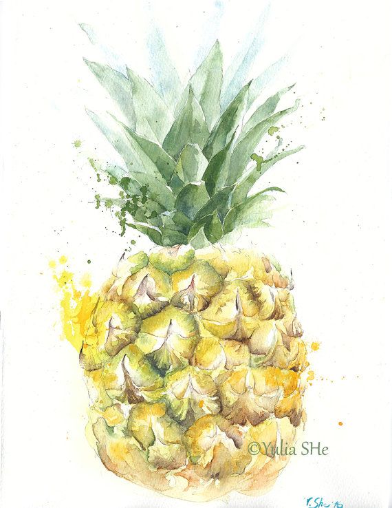 570x738 Original Watercolor Painting Illustration Pineapple Fruit Kitchen - Pineapple Watercolor Painting