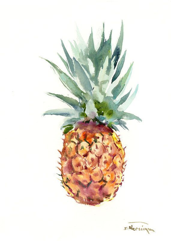 570x802 Pineapple, 15 X 11 One Of A Kind Original Watercolor Painting - Pineapple Watercolor Painting