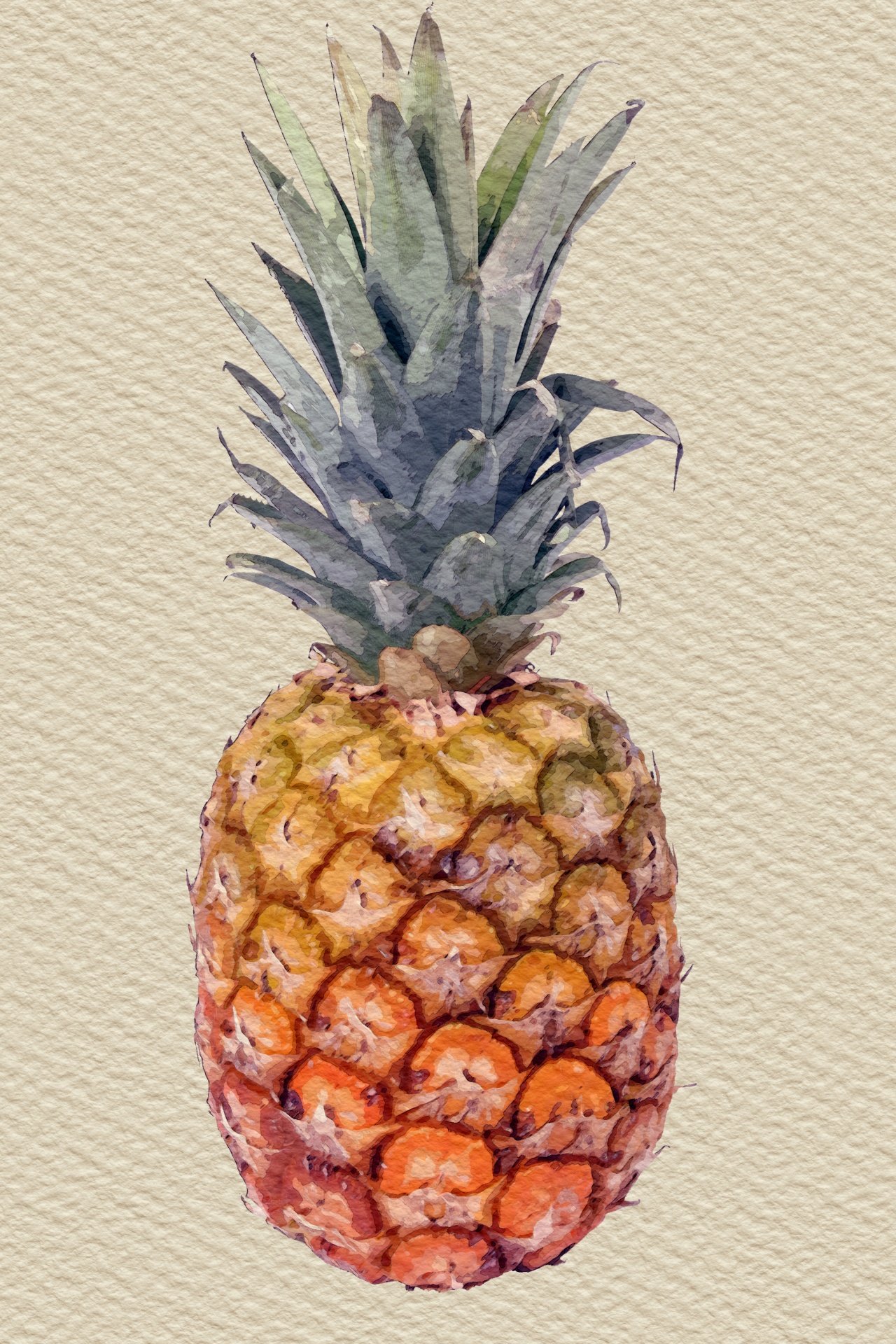 1280x1920 Pineapple Watercolor Painting Free Stock Photo - Pineapple Watercolor Painting