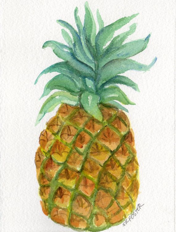 570x753 Pineapple Watercolor Painting Original Art, 5 X 7, Watercolor - Pineapple Watercolor Painting