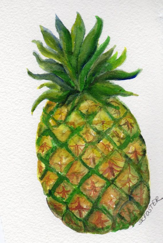 570x845 Pineapple Watercolor Painting Original Art 5 X By Sharonfosterart - Pineapple Watercolor Painting