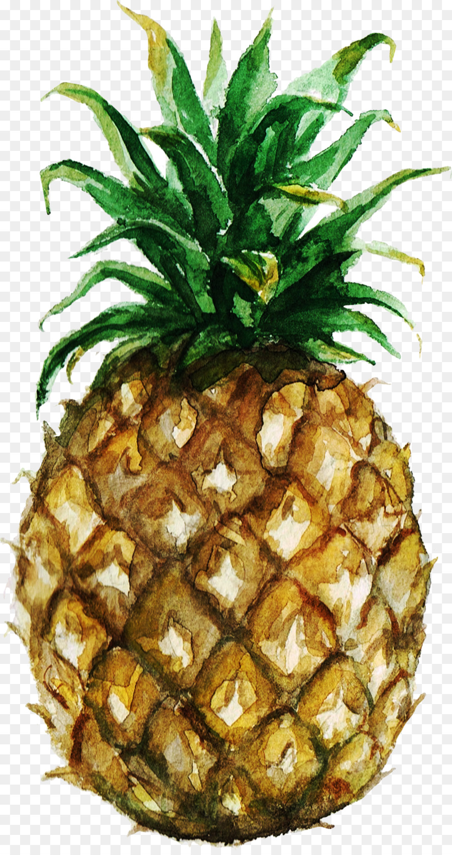 900x1700 Pineapple Watercolor Painting Royalty Free Stock Photography - Pineapple Watercolor Painting