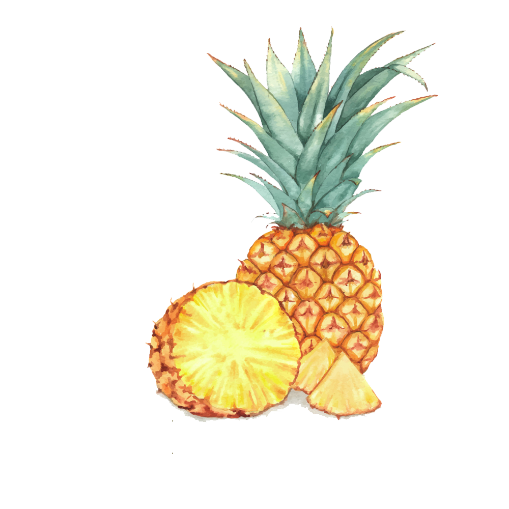 1000x1000 Fruit Watercolor Painting Drawing Illustration - Pineapple Watercolor Painting
