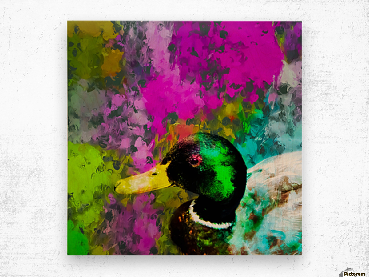 1200x900 Mallard Duck With Pink Blue Green Yellow Painting Abstract - Pink And Green Painting