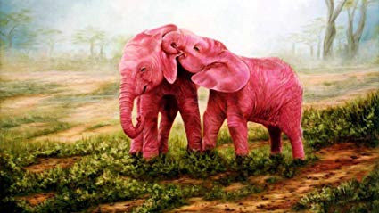 425x239 Thouet 5d Diamond Painting Sweet Pink Elephants - Pink Elephant Painting