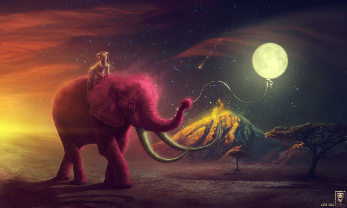 1200x720 Elephantgirl Explore Elephantgirl - Pink Elephant Painting