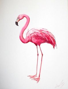236x311 Image Of Flamingo The Art Of Romance Flamingo - Pink Flamingo Painting