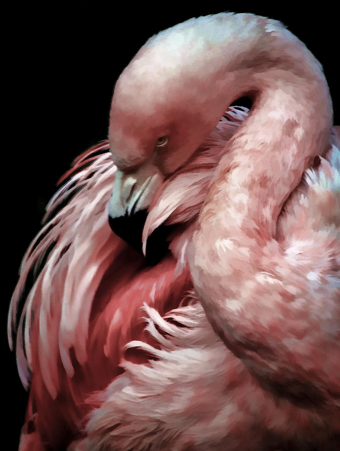 678x900 Pink Flamingo Painting Photograph By Athena Mckinzie - Pink Flamingo Painting