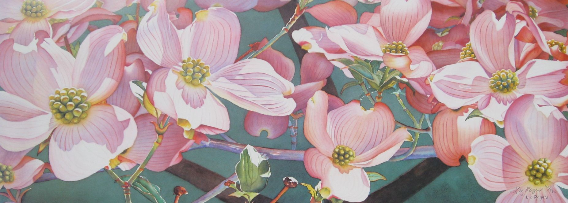 1853x664 Watercolor Flower Art - Pink Floral Painting