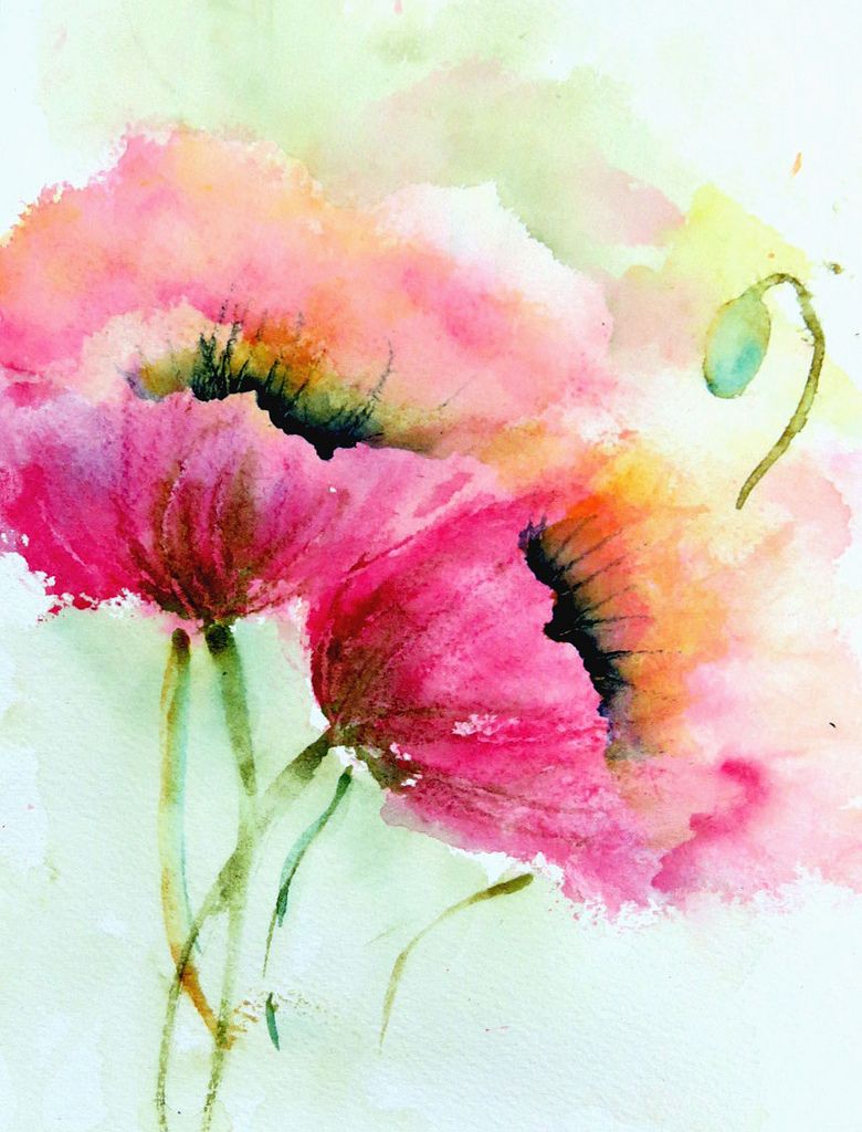780x1024 Two Pink Poppies - Pink Flower Painting