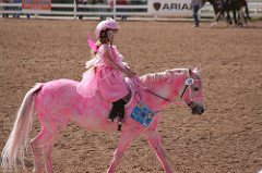 240x159 Bamboo Sprouts Blog Archive Halloweeny Horses - Pink Horse Painting