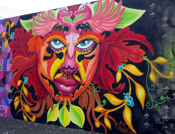 720x552 Lady Of The Leaf A Reproduction Making Space And Place - Pink Lady Painting