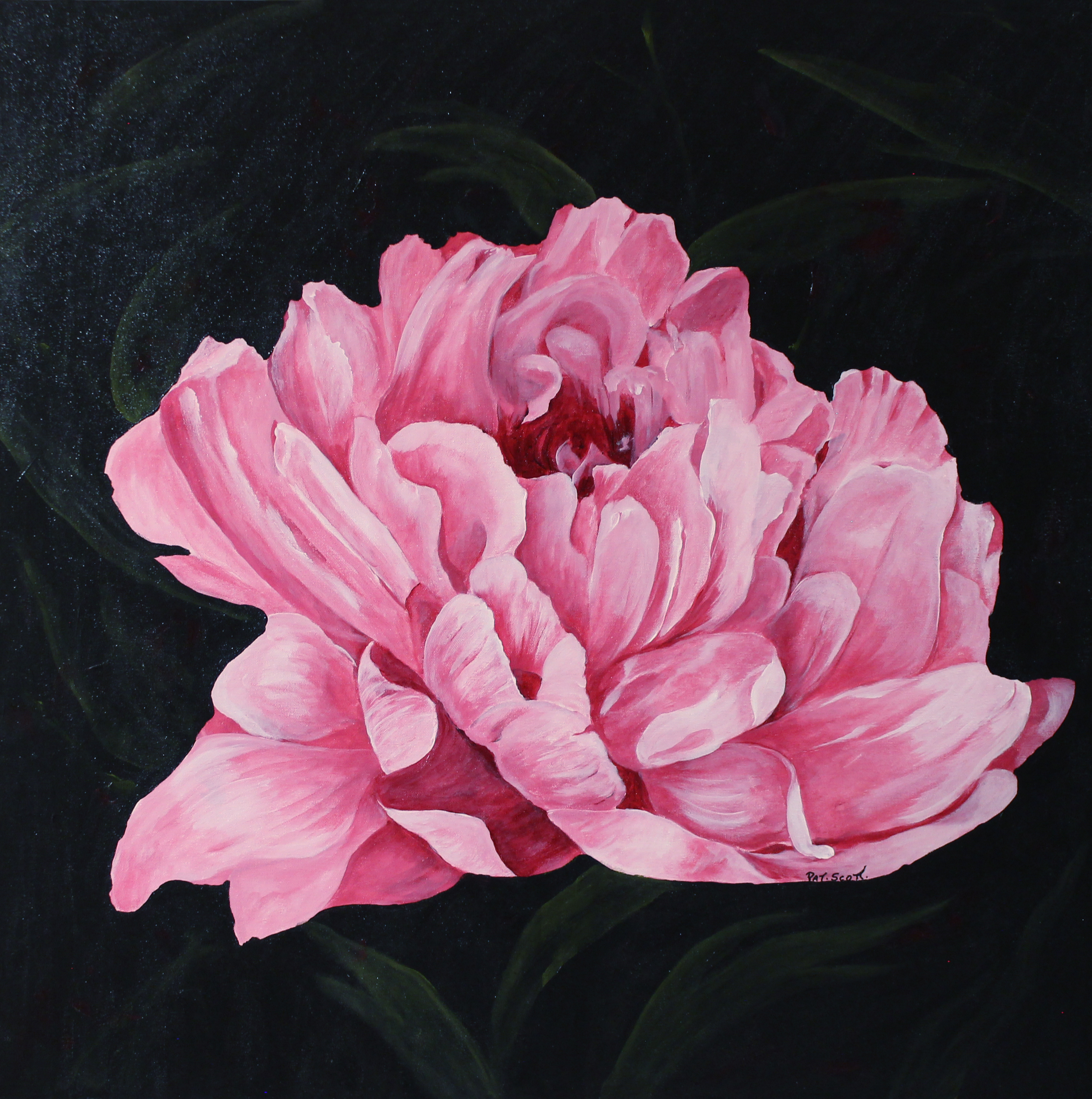 Pink Peony Painting at PaintingValley.com | Explore collection of Pink ...