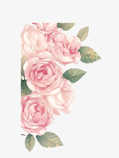 400x533 Hand Painted Peony, Peony, Pink Peony, Extravagance Png Image - Pink Peony Painting