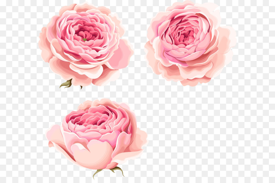 900x600 Hand Painted Beautiful Pink Peony Flowers Png Download - Pink Peony Painting