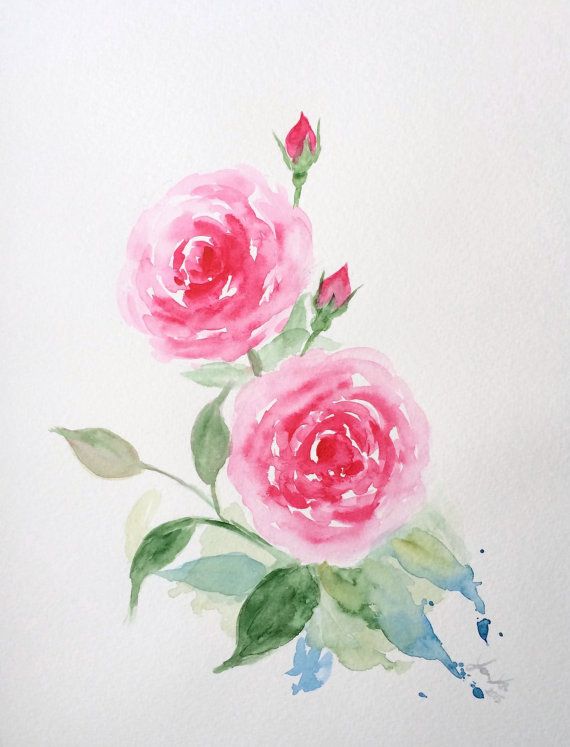 570x747 Original Watercolor Roses, Pink Roses Painting 9x12, Pink Rose - Pink Rose Painting