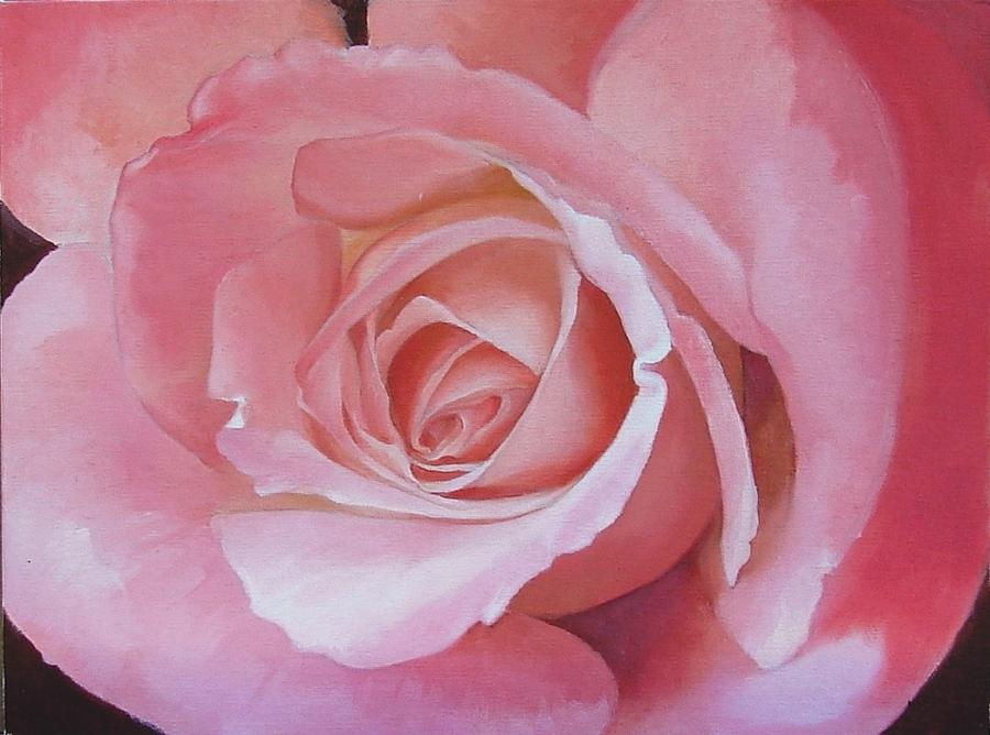 900x668 Close Up Painting Of Pink Rose Painting By Alena Nikifarava - Pink Rose Painting