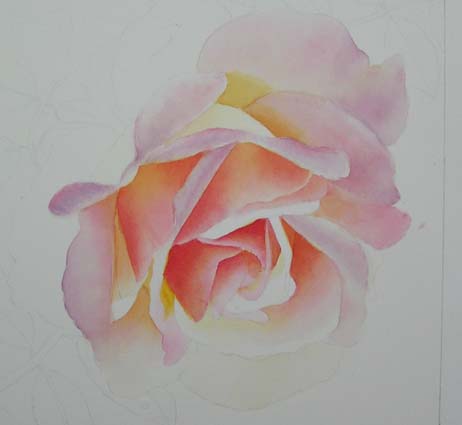 462x425 Demo Of A Pink Rose Painting In Watercolor By Doris Joa - Pink Rose Painting