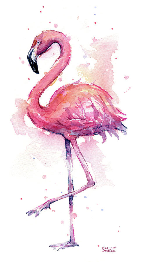 491x900 Pink Flamingo Watercolor Tropical Bird Painting By Olga Shvartsur - Pink Watercolor Painting