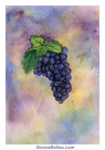 342x486 Pinot Noir Wine Grapes Watercolor Art Painting Yummy, Pretty - Pinot Noir Painting