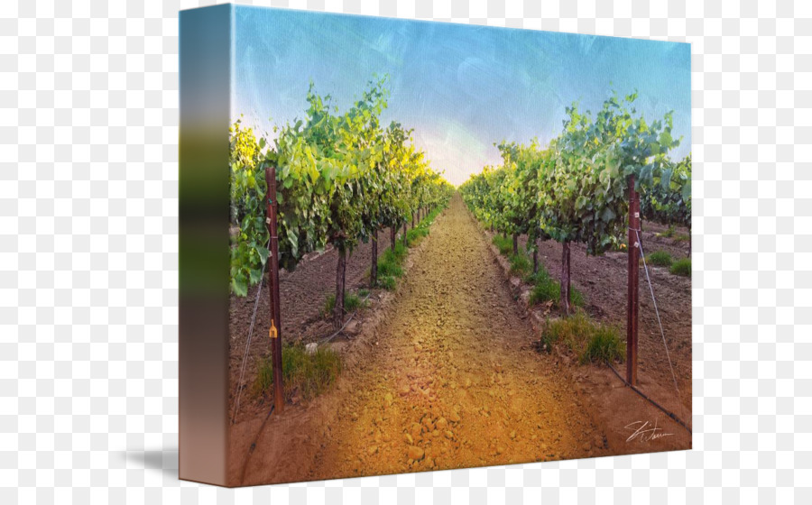 900x560 Pinot Noir Wine Acrylic Paint Printing Canvas Print - Pinot Noir Painting