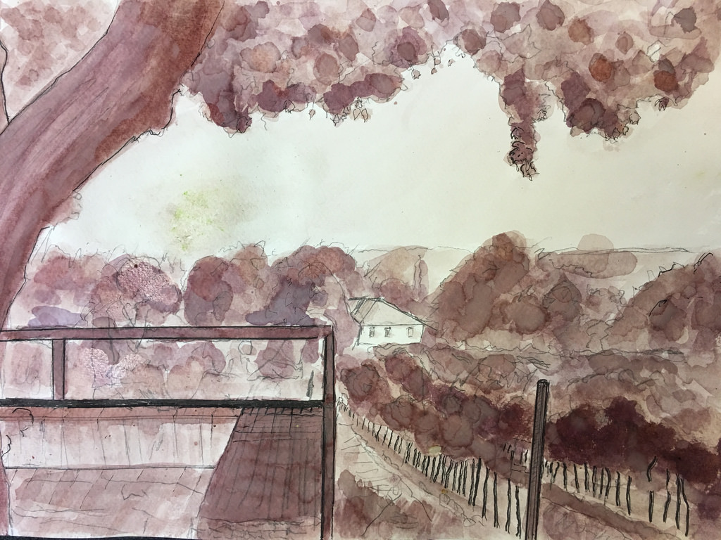 1024x768 The Vineyard - Pinot Noir Painting