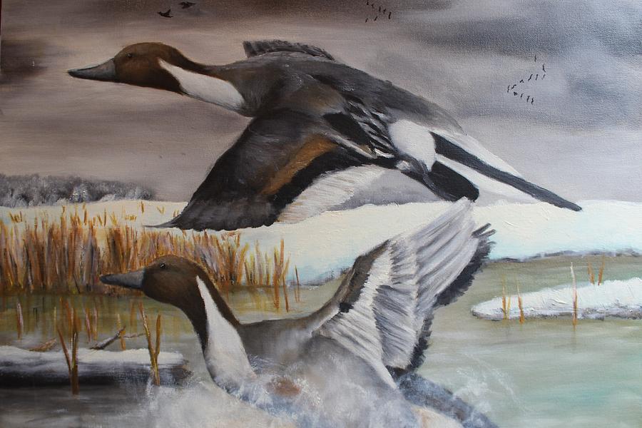 900x600 Pintail Ducks Painting By Laura Dyuran - Pintail Duck Painting