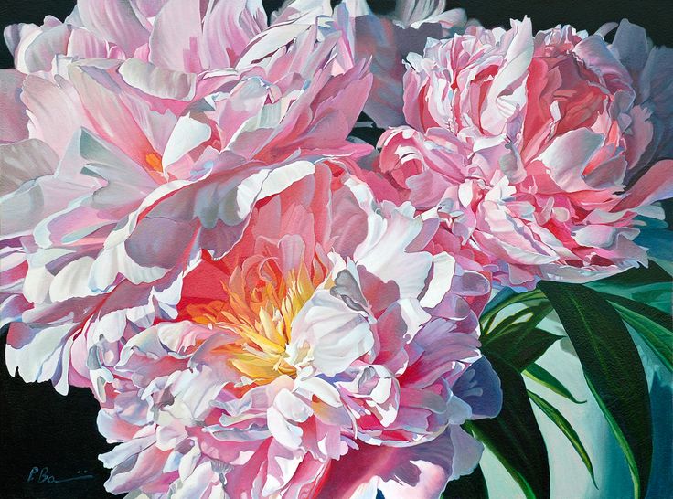 736x546 Gallery Floral Paintings , - Pinterest Flower Painting