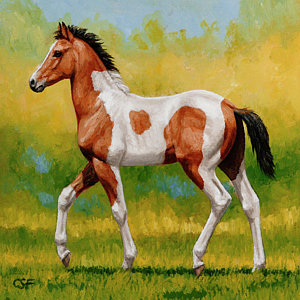 Pinto Horse Painting at PaintingValley.com | Explore collection of ...