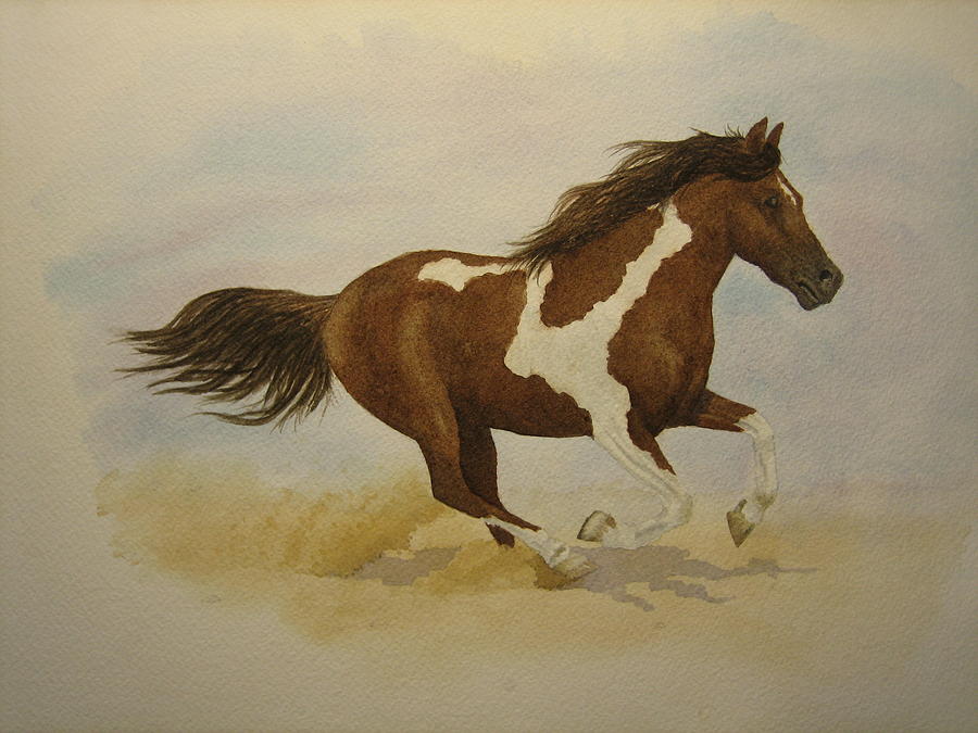 900x675 Running Paint Painting By Jeff Lucas - Pinto Horse Painting