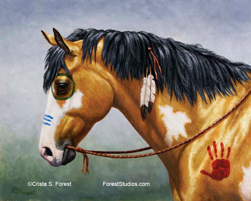 800x640 Crista Forest's Animals Amp Art Five Indian Pony Variations Now - Pinto Horse Painting