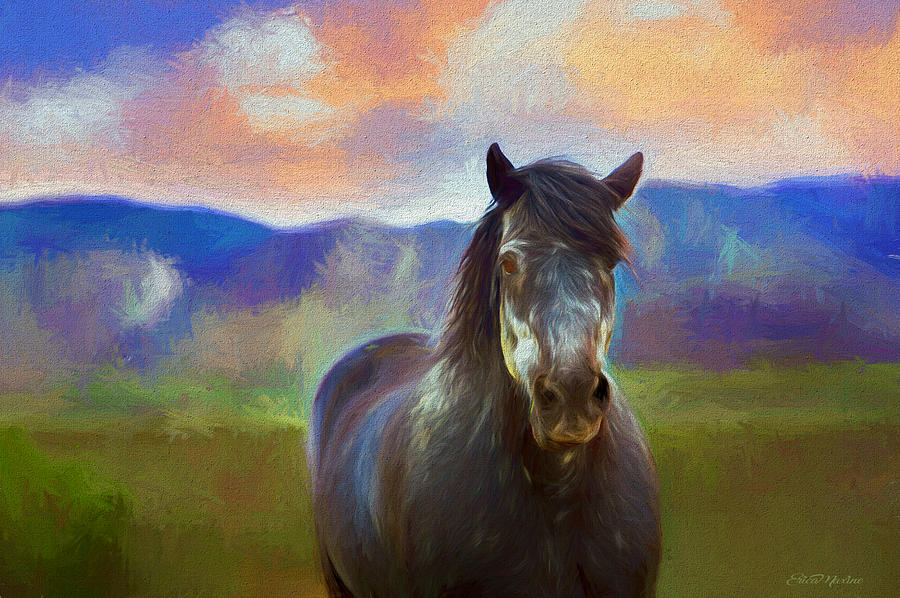 900x598 Wild Pinto 400 - Pinto Painting