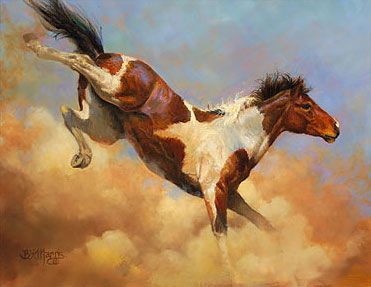 371x287 Bucking Pinto Horse - Pinto Painting